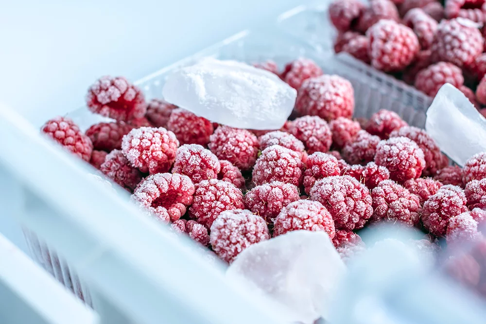 O nas, ZAMVINEX &ndash; Producent mrożonych owoc&oacute;w i&nbsp;warzyw | Jakość, świeżość, smak